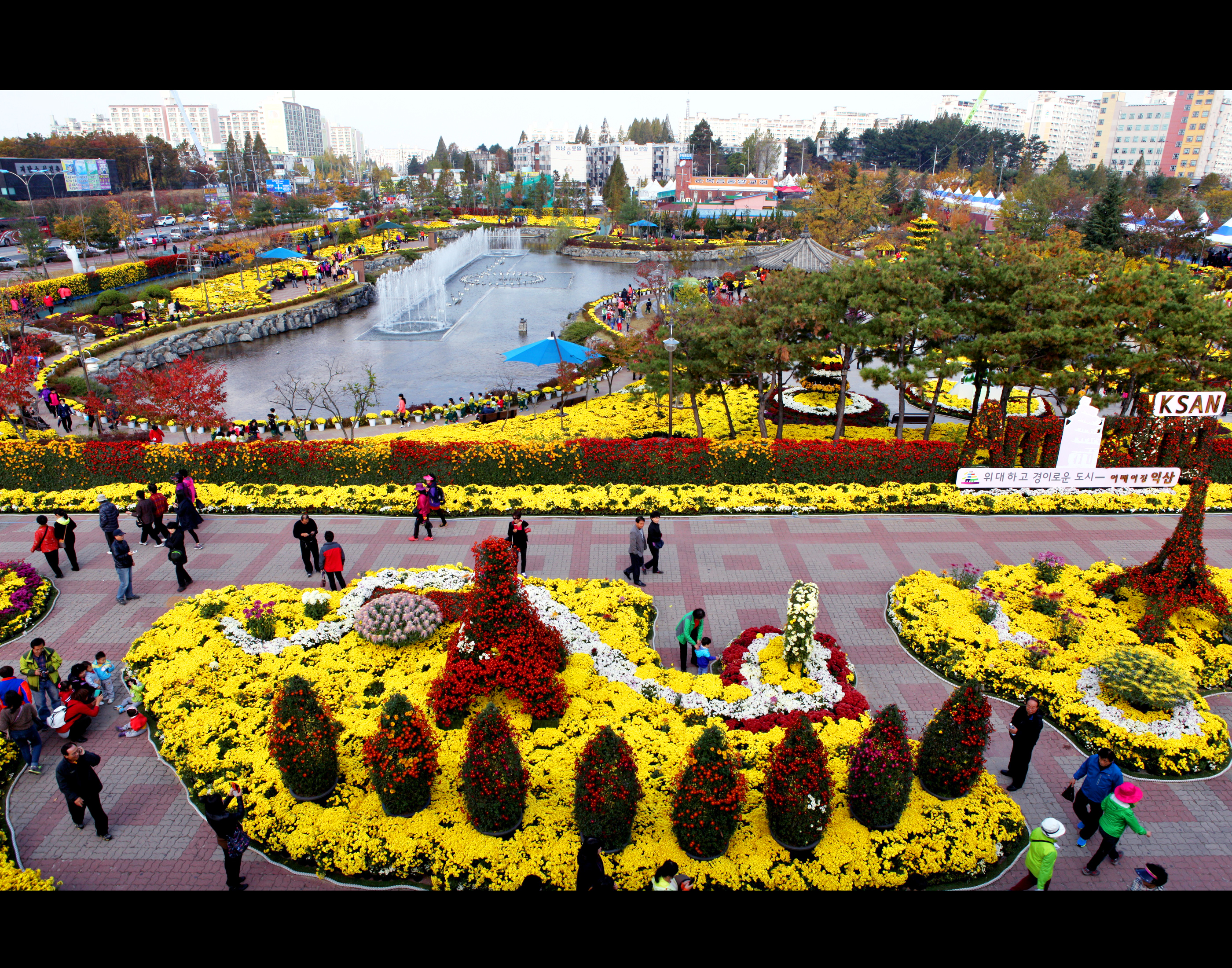 016김봉식 천만송이국화축제 입선 (익산).jpg