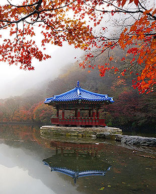 내장산 국립공원