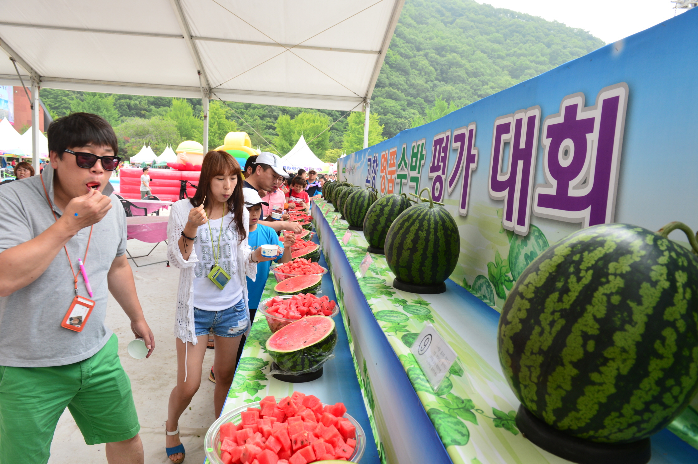 풍천장어와함께하는 2014고창복분자와수박축제-명품수박 품평회014.JPG