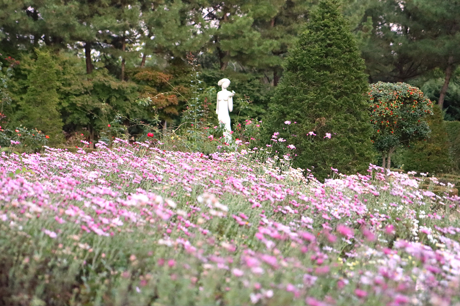 가을03.jpg