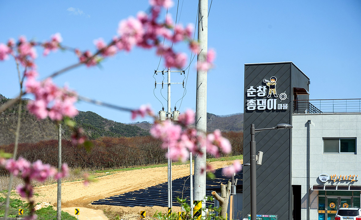 06.jpg