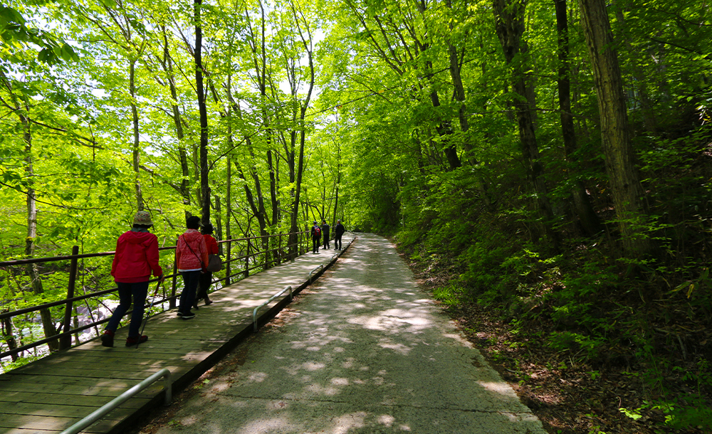 05.jpg