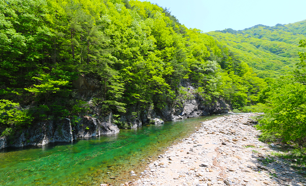 06.jpg