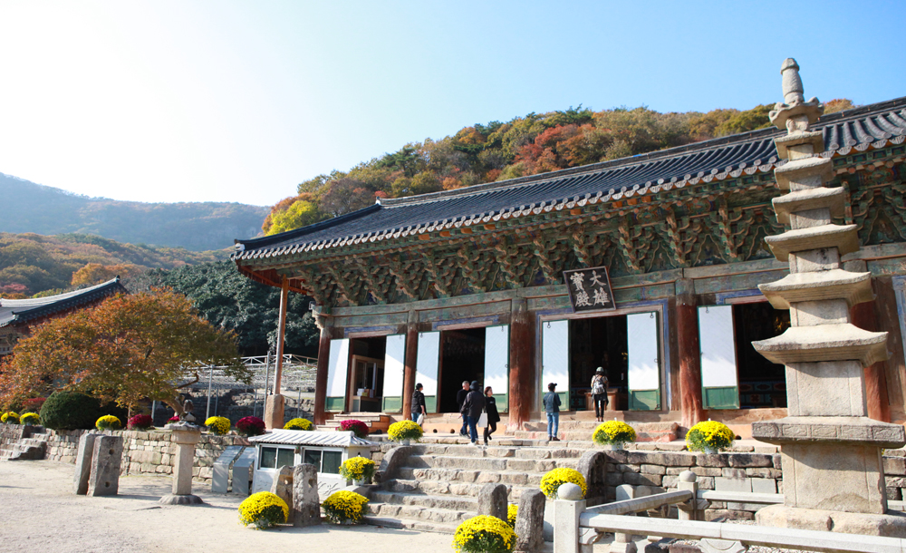 선운사.jpg
