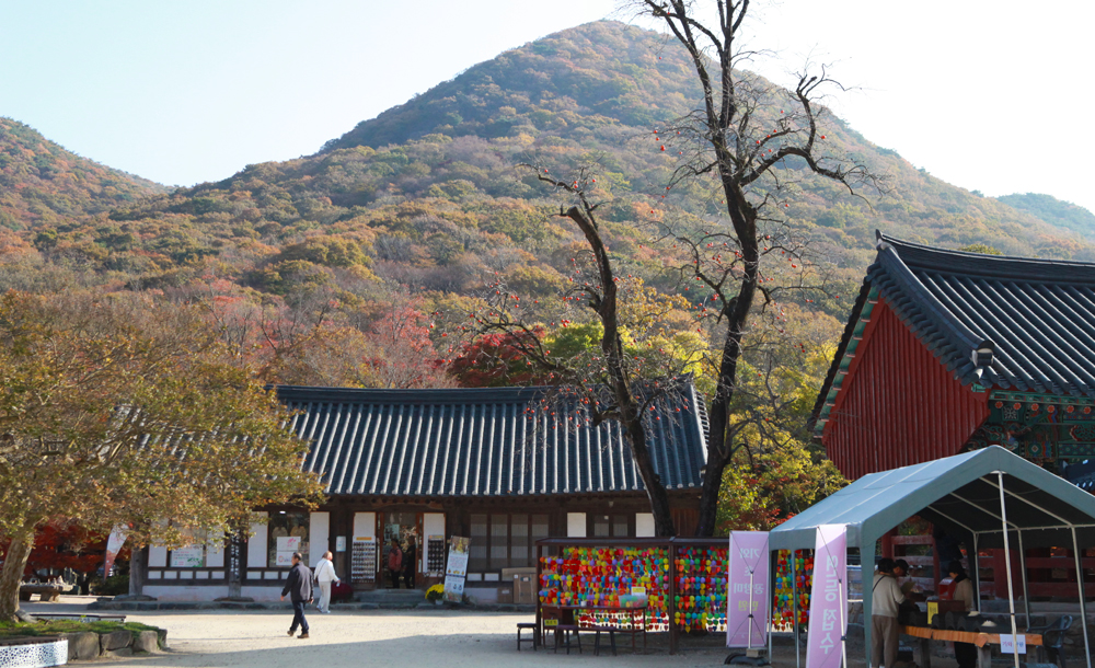 선운사2.jpg