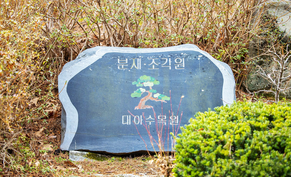 03.jpg