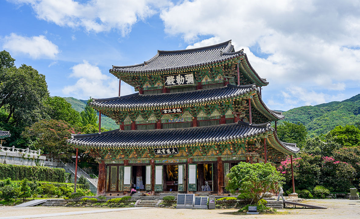 여름01.jpg