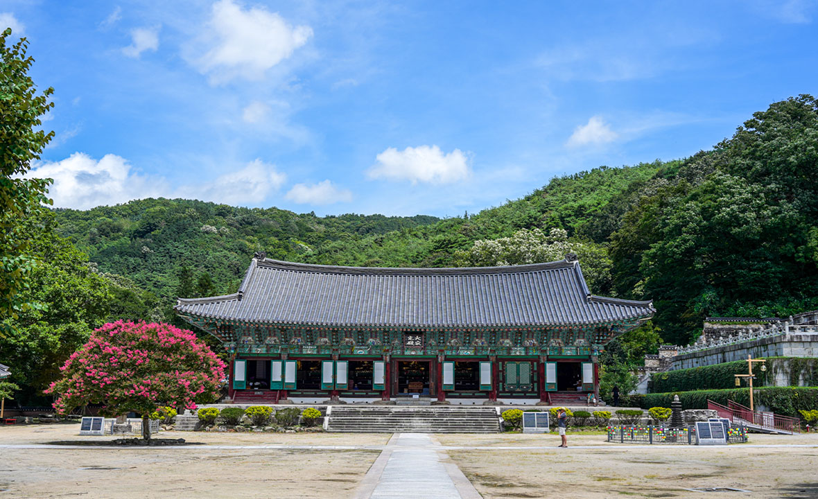 여름03.jpg