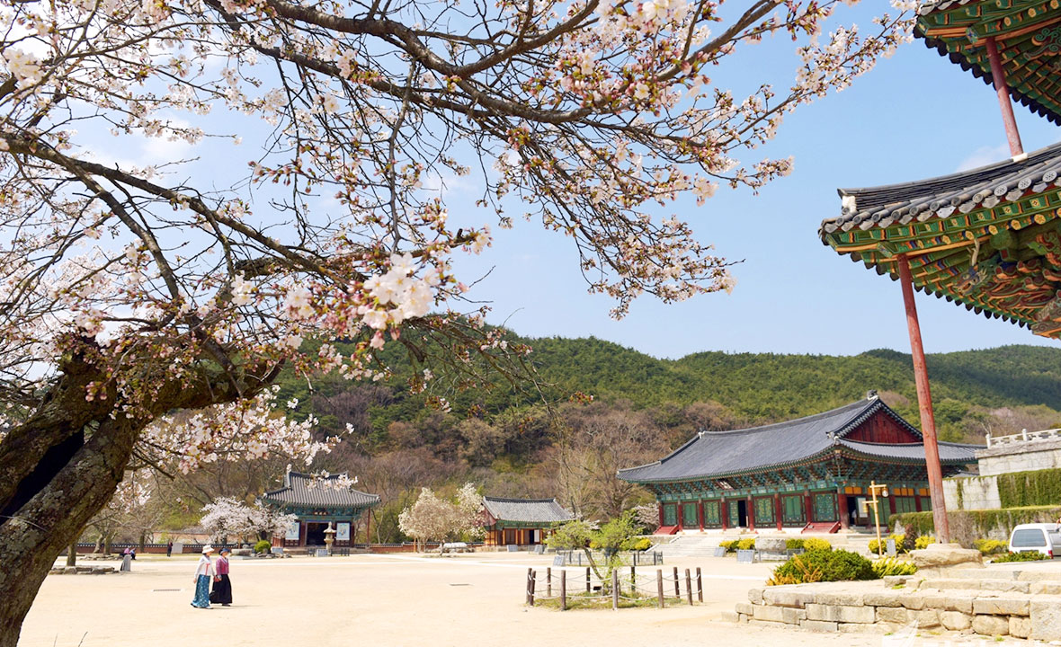 봄02.jpg