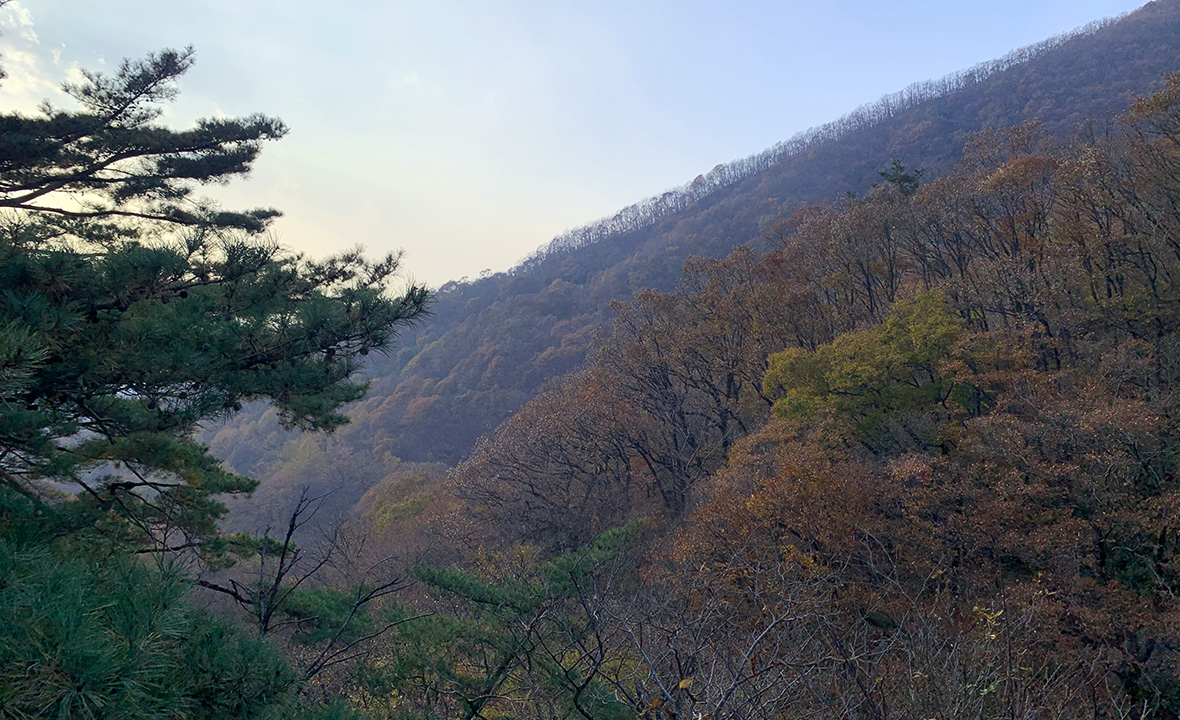 성수산_4.jpg