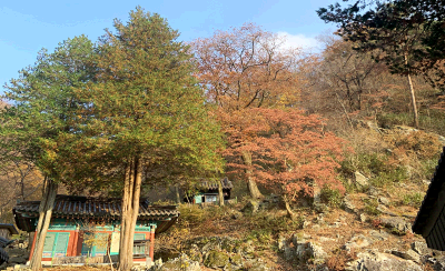 성수산_2.jpg