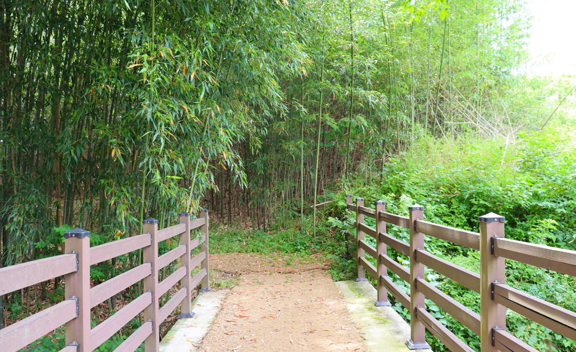 05.jpg