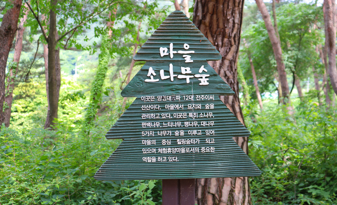 07.jpg