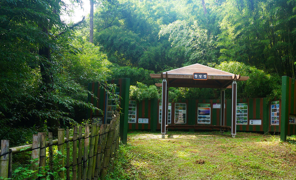 07.jpg