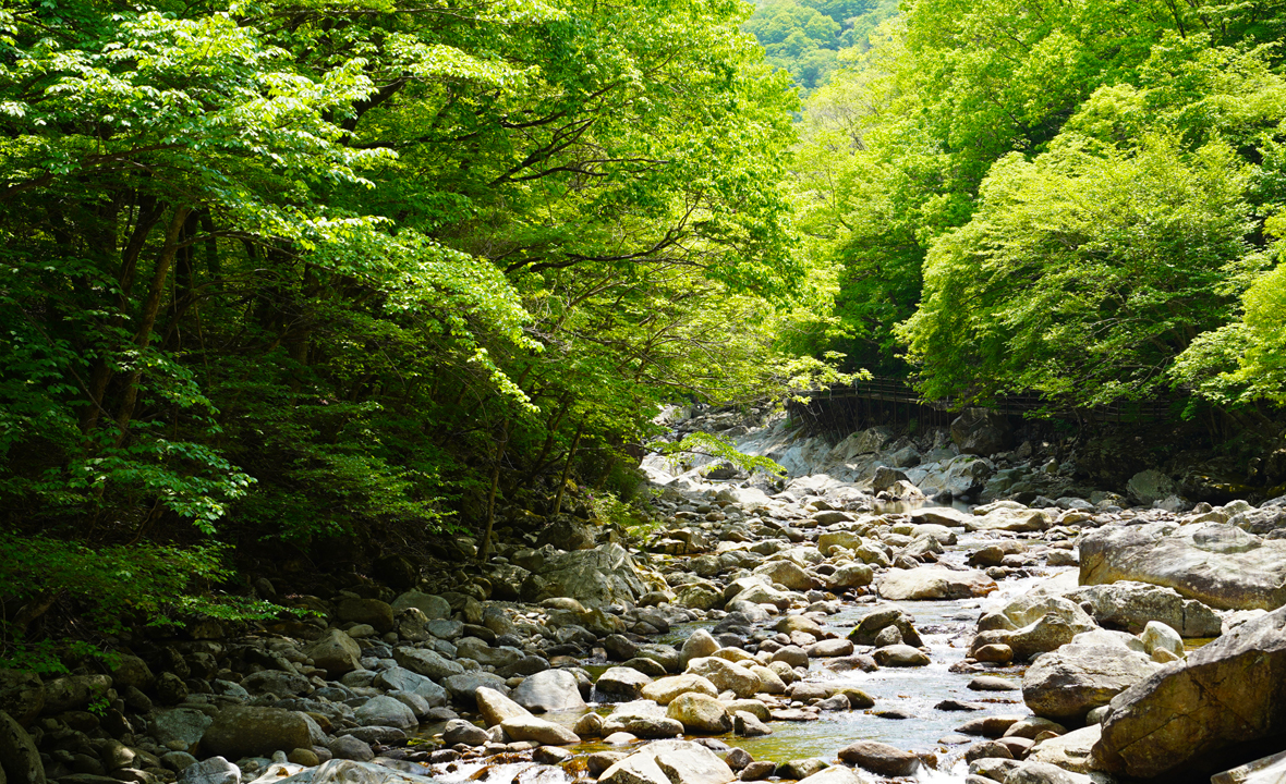 지리산 뱀사골