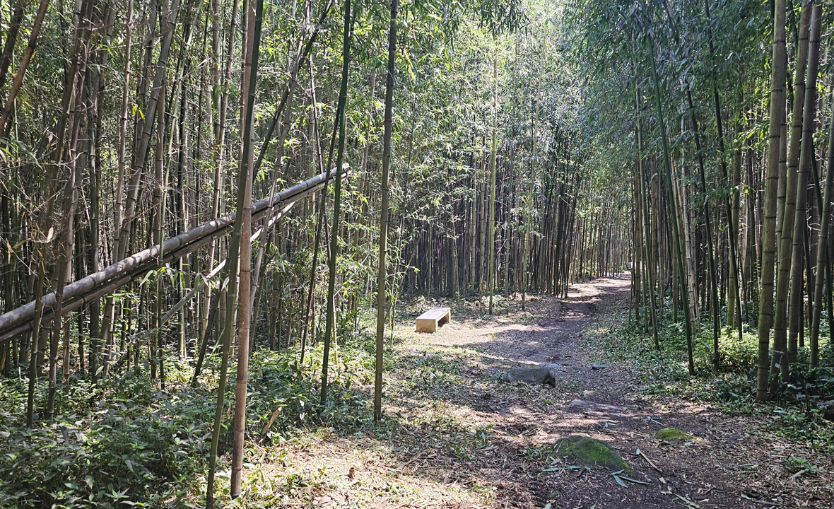 07.jpg
