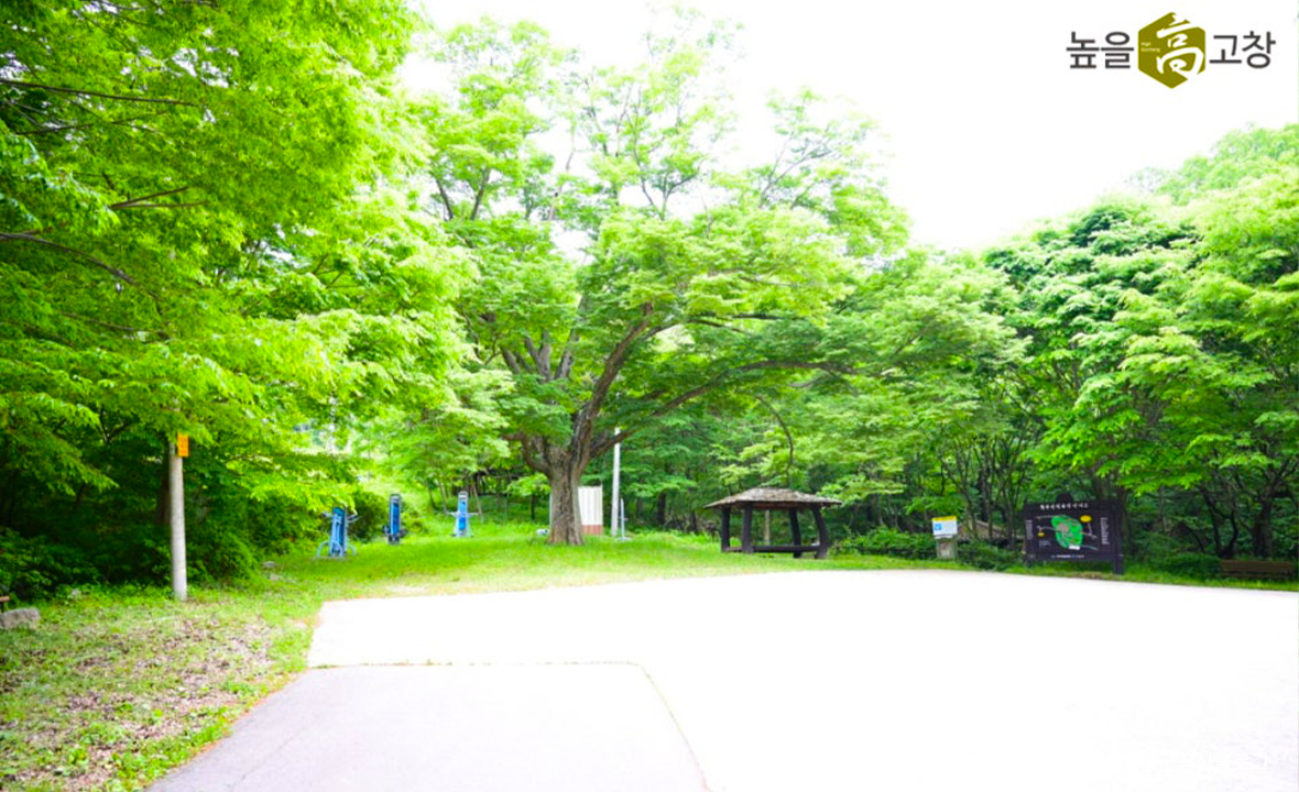 09.jpg