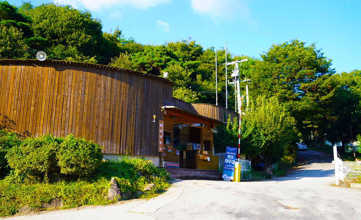 06.jpg