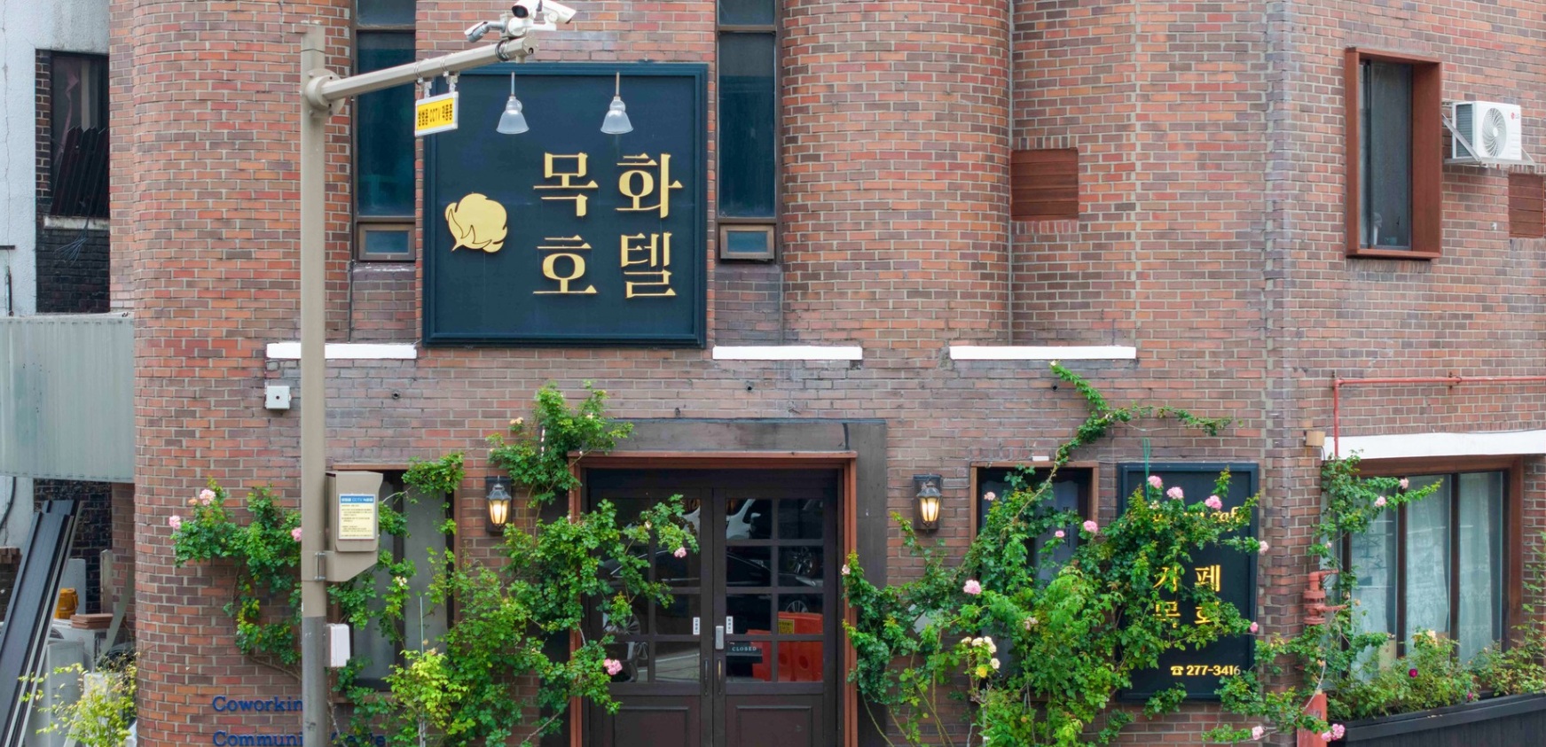 목화.jpg