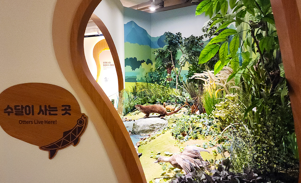 전주자연생태관5.jpg