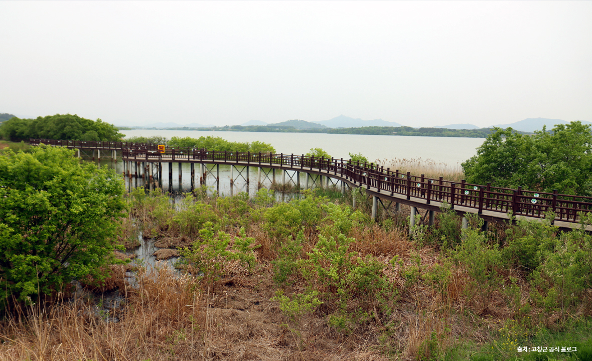 동림저수지8.jpg