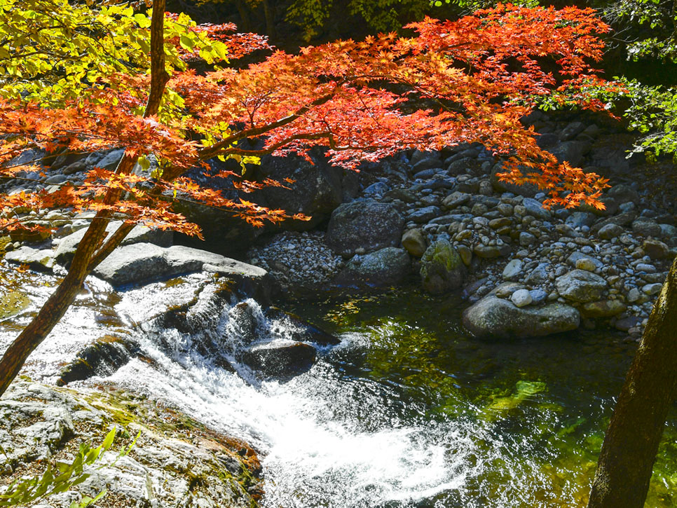 지리산뱀사골1.jpg