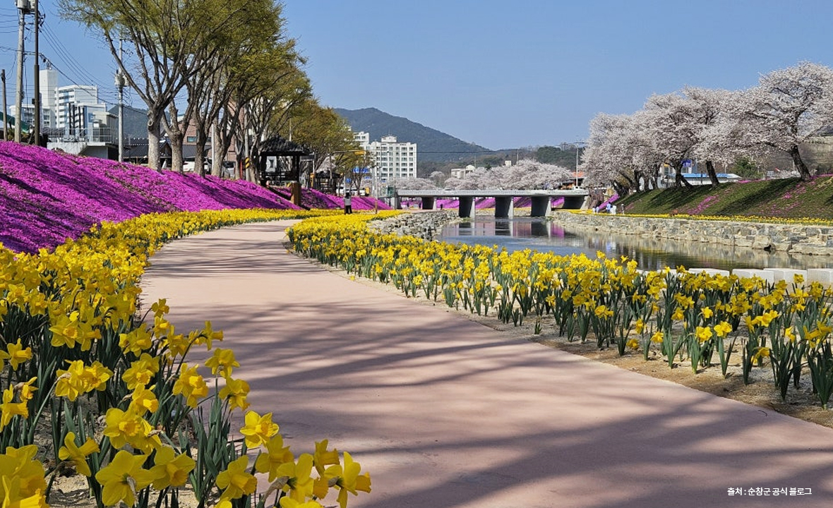 양지천6.jpg