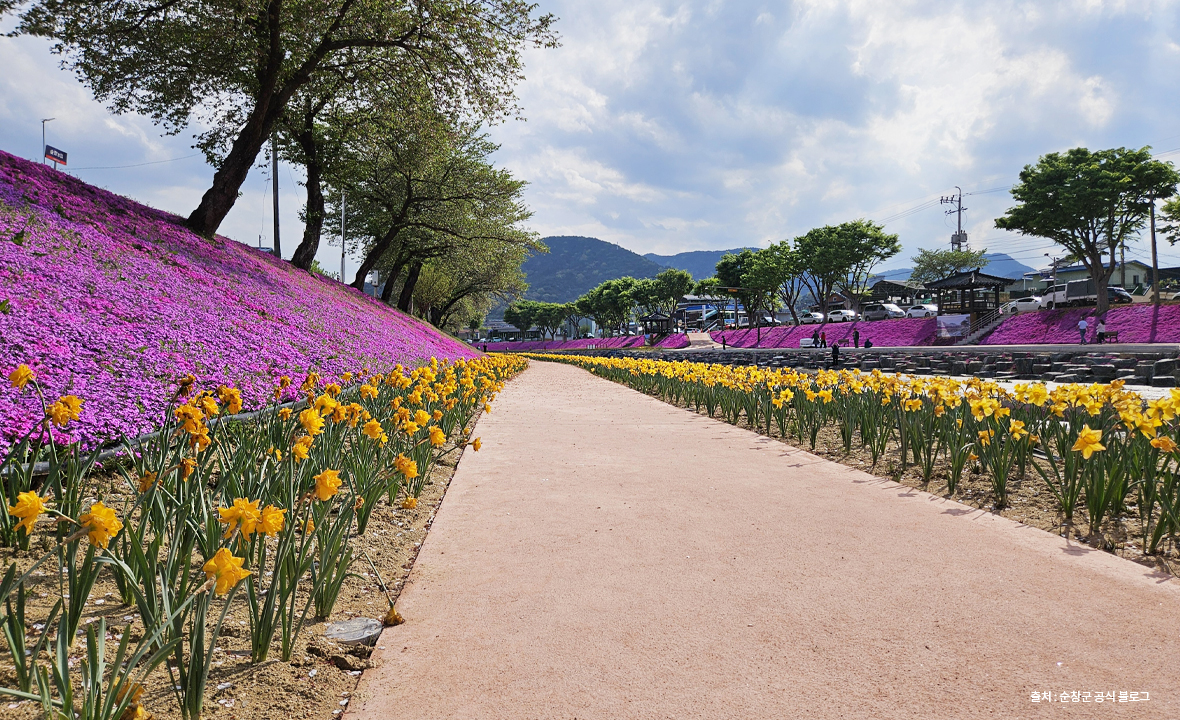 양지천10.jpg