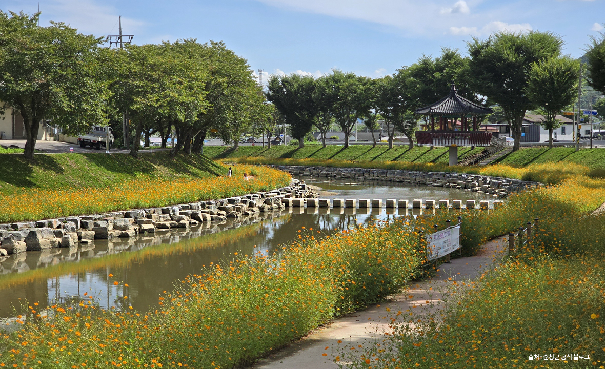 양지천13.jpg