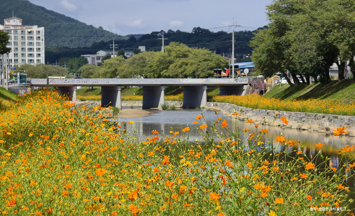 양지천14.jpg