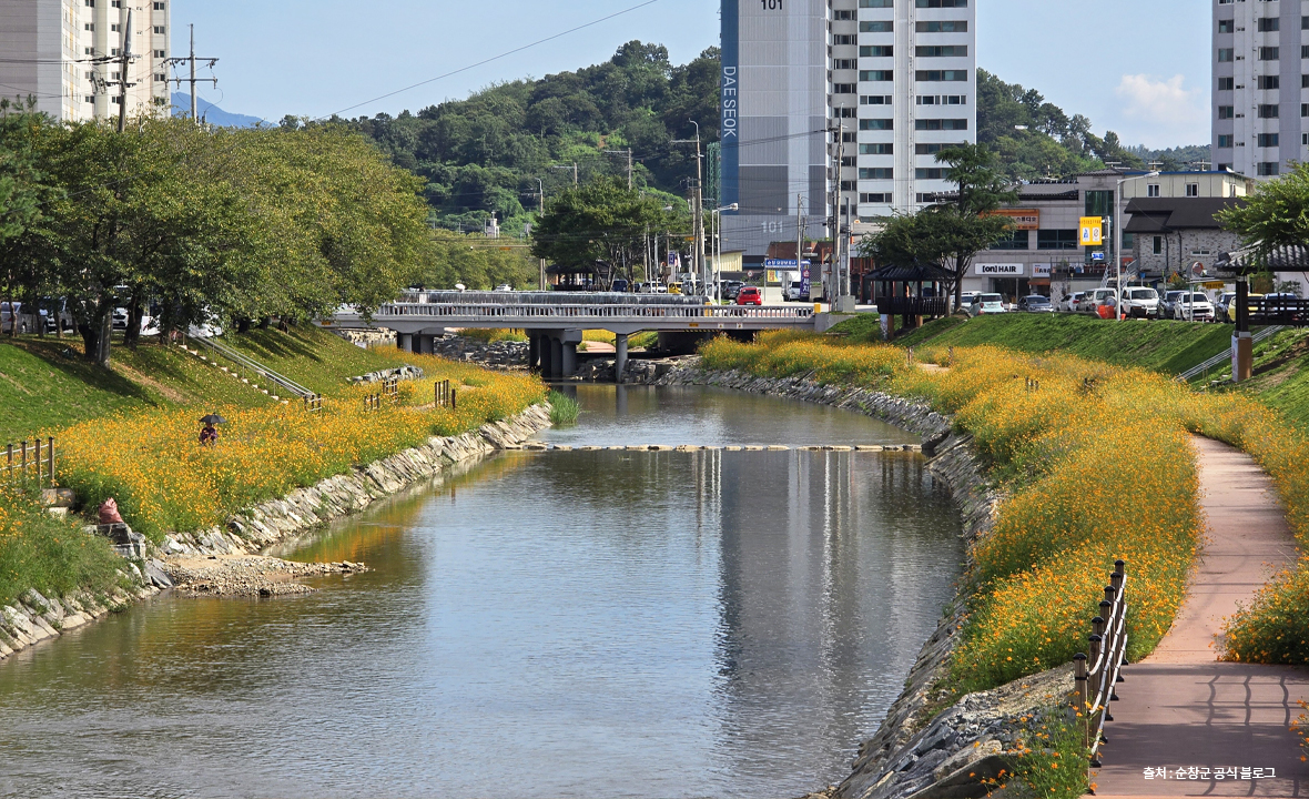 양지천18.jpg