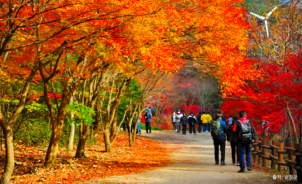 코스 중 강천산군립공원의 대표 이미지