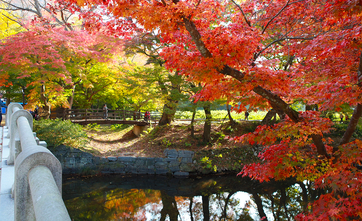 코스 중 고창선운산도립공원의 대표 이미지