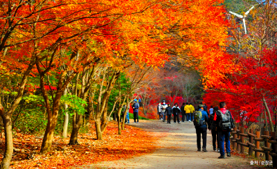 강천산군립공원