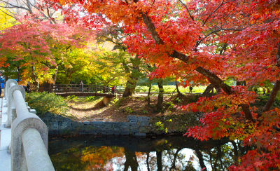 고창선운산도립공원