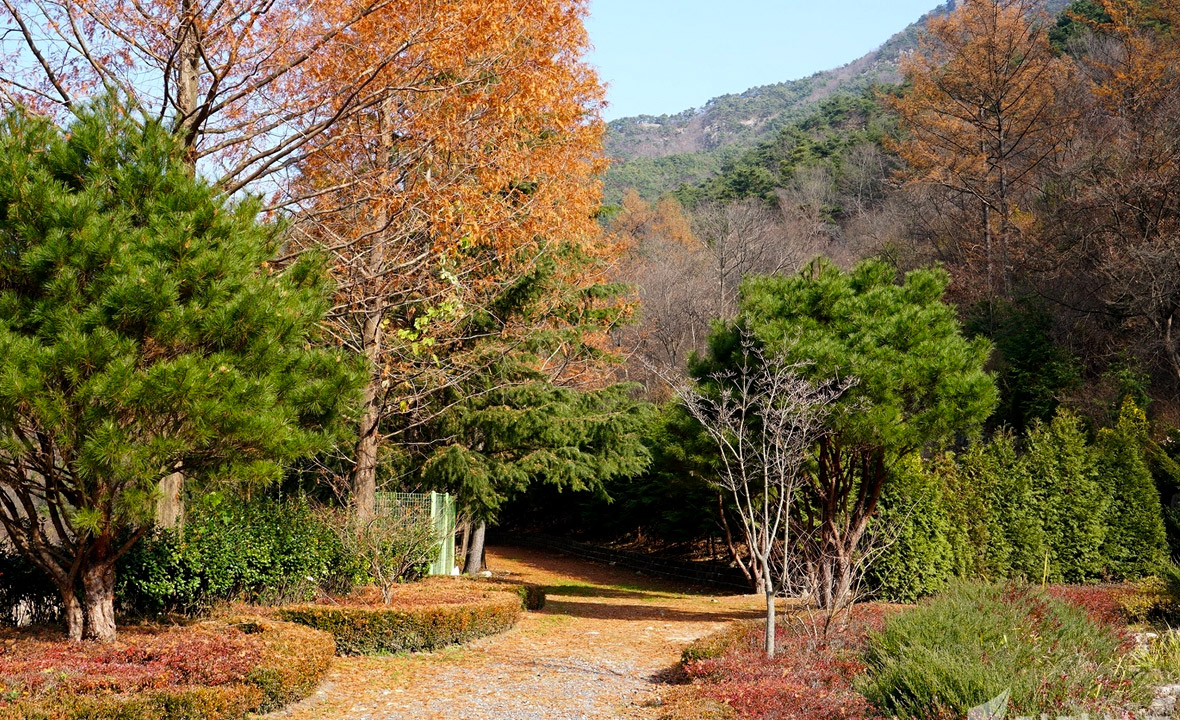 고산자연휴양림