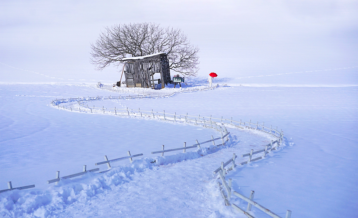 넓은들 학원농장