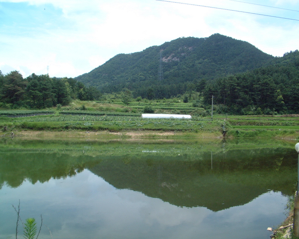 옥출산성_전경.jpg