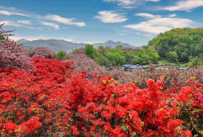 완산칠봉(완산꽃동산)