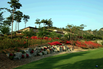 골프존카운티선운 컨트리클럽 2일 패키지