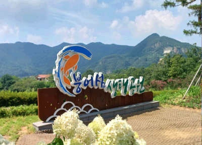 [특가]임실시티투어