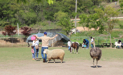 한여름에 떠나는 다양한 이색 체험