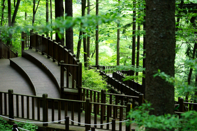 명절 가족여행 코스 BEST 5 - 부모님을 위한