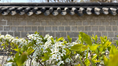 봄맞이 산책·걷기 코스 BEST 5_왕의 숲길을 걷다