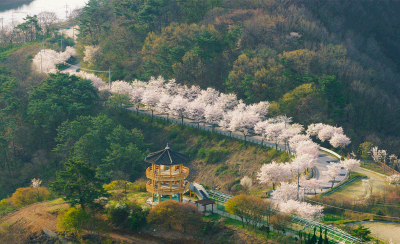 꽃길 드라이브 코스_벚꽃 호수길 드라이브, 옥정호 봄 여행