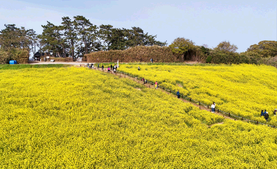 꽃길 드라이브 코스_변산 해안 드라이브 & 수성당 트레킹