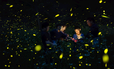 무주반딧불축제장