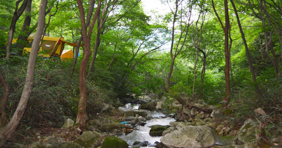 장수 와룡자연휴양림 캠핑장