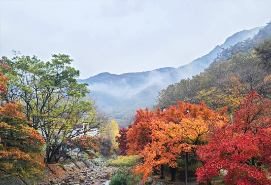 순창 강천산군립공원