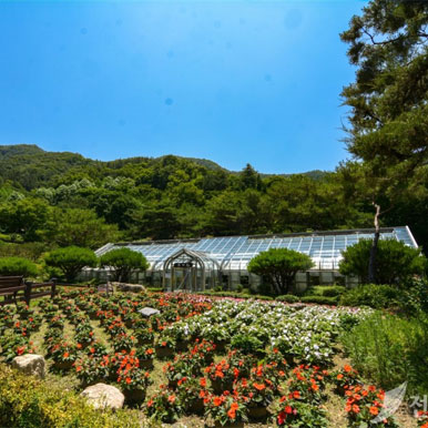 [완주] 대아수목원